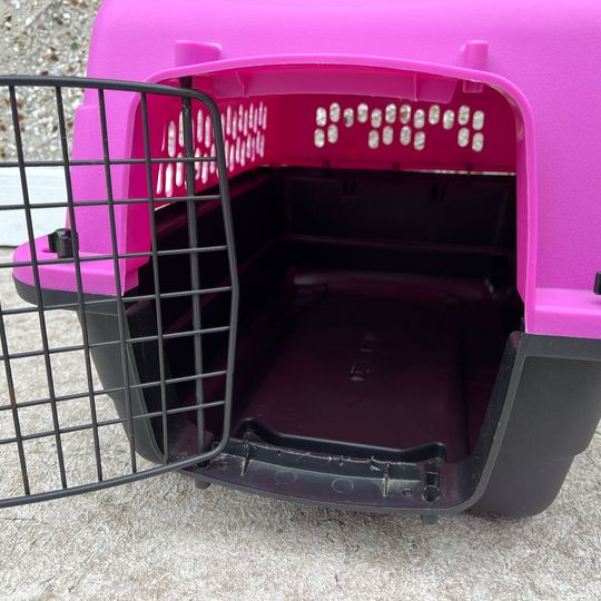 My Little Pet Shop 24 inch Pet Taxi Dog Cat Pet Crate Kennel Fushia Pink Fits Up To 25 Lb