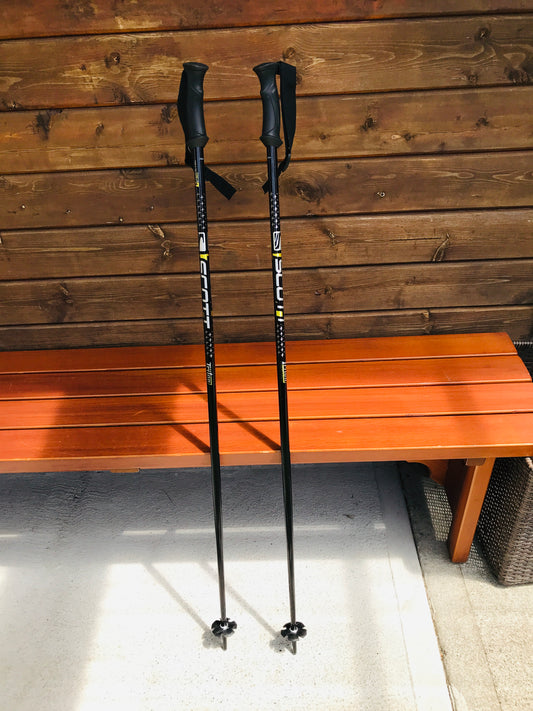 Ski Pole Adult Size 46in 115cm Scott Black Silver Gold