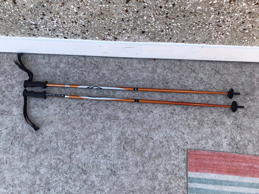 Ski Poles Adult Size 48 inch 120 cm Salomon Black Bronze Silver Rubber Handles Excellent
