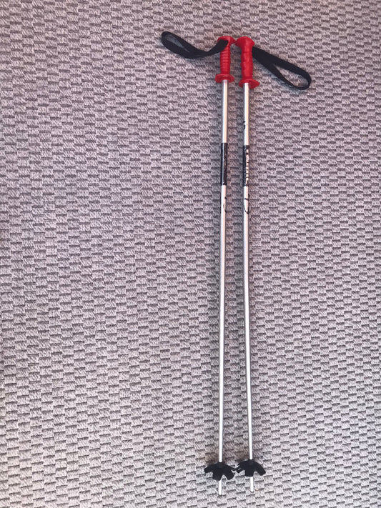 Ski Poles Adult Size 48 inch 120 cm Tomic Grey Red