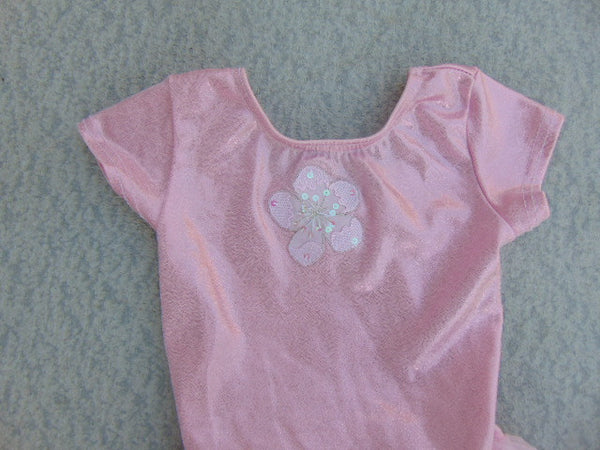 Ballet Dance Dress Child Size 5-6 Pink Nylon Poly Glitter