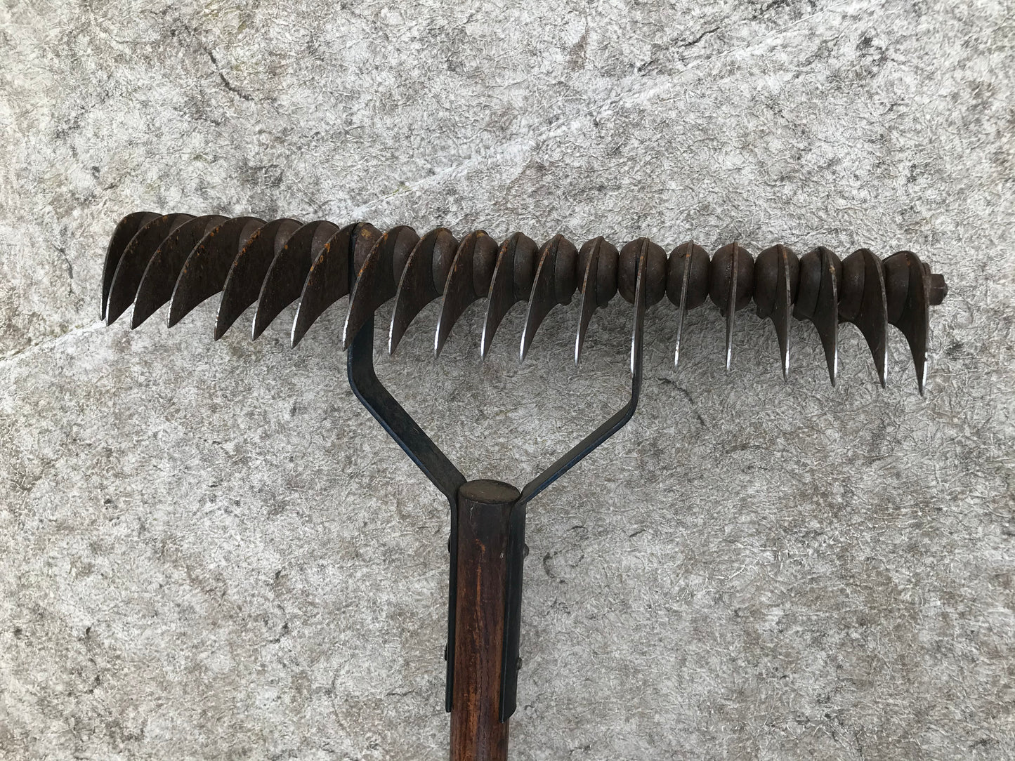 Farm and Garden Antique Solid Heavy Wood Lawn Thatching Rake 1950's Made In Canada Outstanding Quality