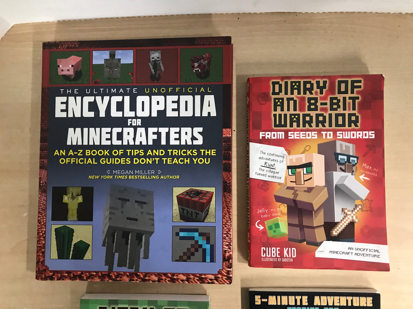 Lego Minecraft Book Collection All As New