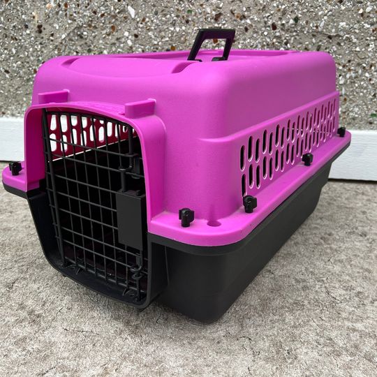 My Little Pet Shop 24 inch Pet Taxi Dog Cat Pet Crate Kennel Fushia Pink Fits Up To 25 Lb