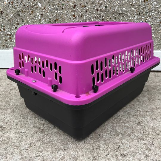 My Little Pet Shop 24 inch Pet Taxi Dog Cat Pet Crate Kennel Fushia Pink Fits Up To 25 Lb